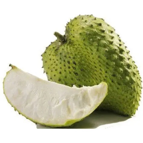Katu anoda