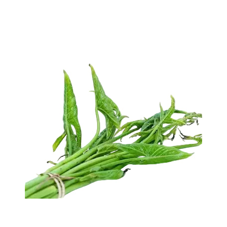 Bunch of fresh green leaves on a white background