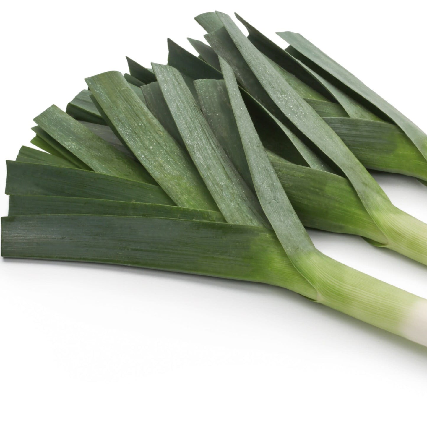 Three leeks on a white background