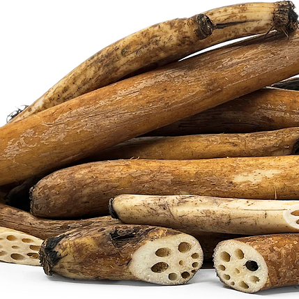 Lotus roots stacked on a white background