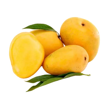 Yellow mangoes with green leaves on a white background