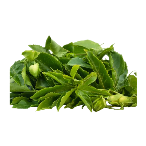 Pile of green tea leaves on a white background