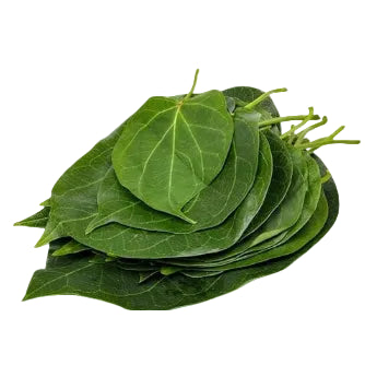 Stack of green leaves on a white background