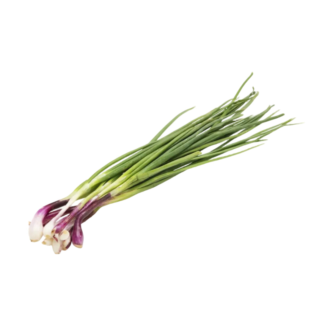 Spring onion (Loonu Kola)