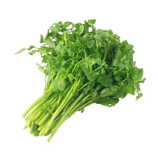 Bunch of green leafy vegetables on a white background