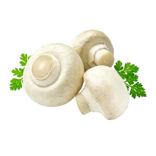 Three white mushrooms with green leaves on a white background