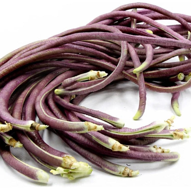 Purple bean sprouts on a white background