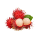 Rambutan