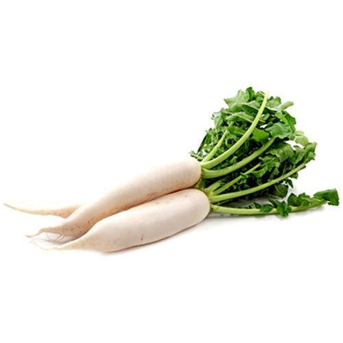 Two white radishes with green tops on a white background